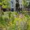 copyright: Wiener Stadtgärten/Wieser Park mit Blumenbeeten