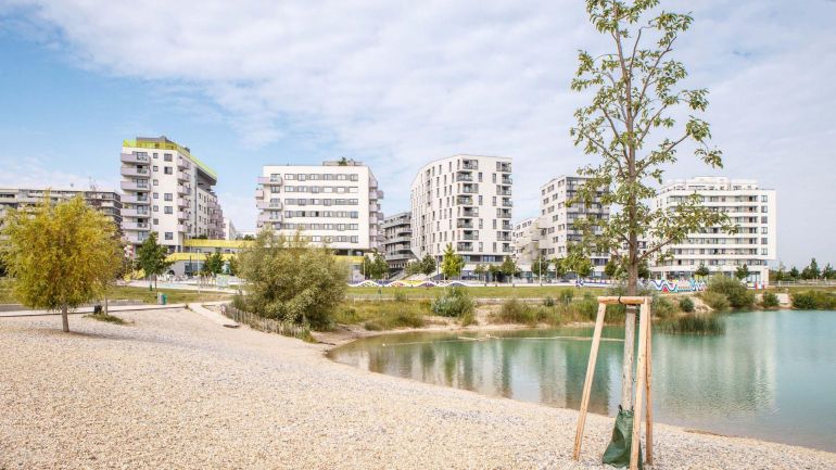 Teich mit modernen Wohnbauten im Hintergrund