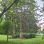 Park mit Wiese und Bäumen