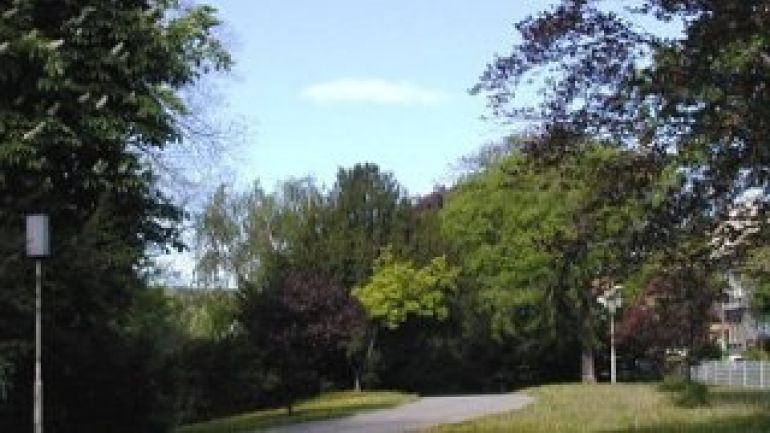 Geschwungener Weg durch eine Wiese, daneben Bäume