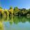 Teich in einem Park