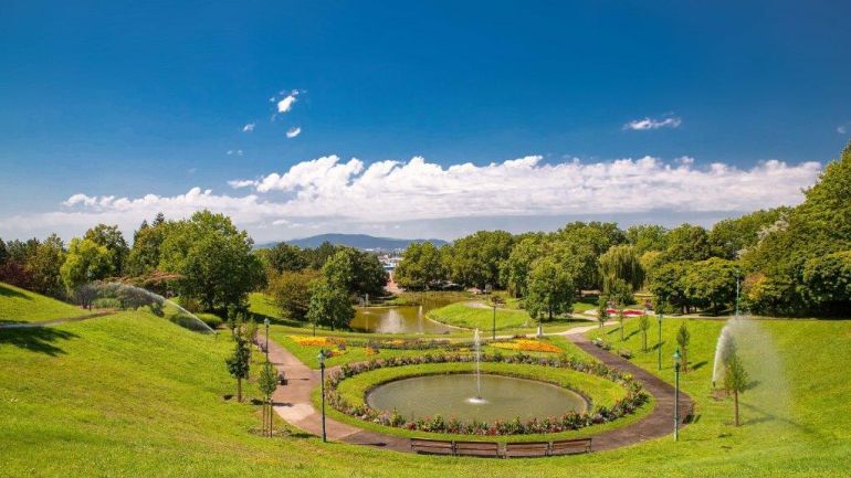 Blick von oben auf eine Teichlandschaft