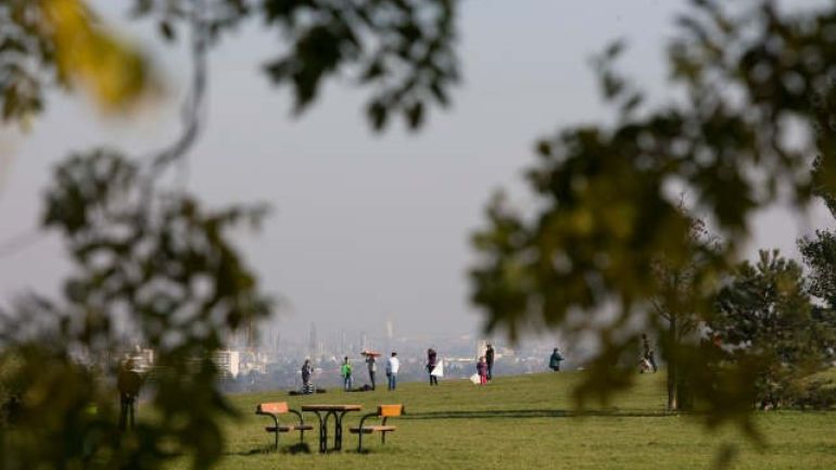 Blick über eine Wiese im Hintergrund Aussicht über Wien