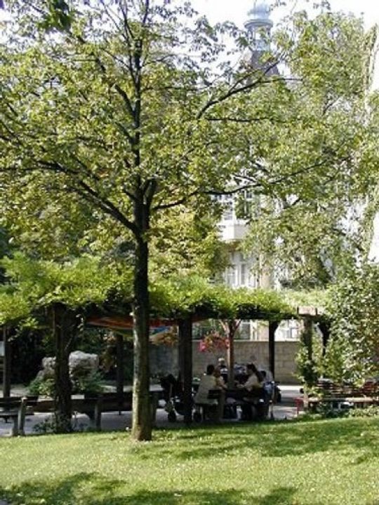 Sitzplatz unter grüner Laube