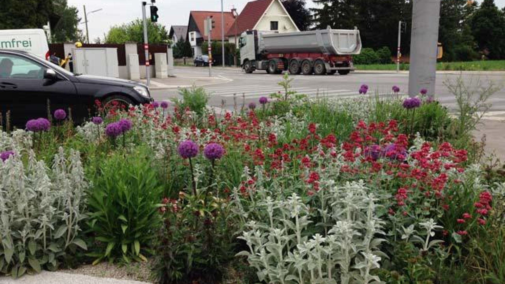 copyright: Wiener Stadtgärten Blumenbeet mit verschiedenen Pflanzen