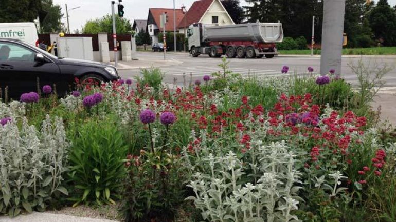 copyright: Wiener Stadtgärten Blumenbeet mit verschiedenen Pflanzen