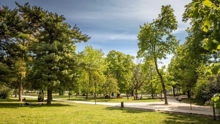 copyright: Wiener Stadtgärten/Houdek Park mit hohen Bäumen, dazwischen Wege