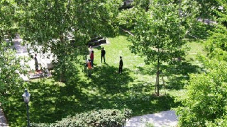 copyright: MA 42 Menschen stehen im Schatten der Bäume