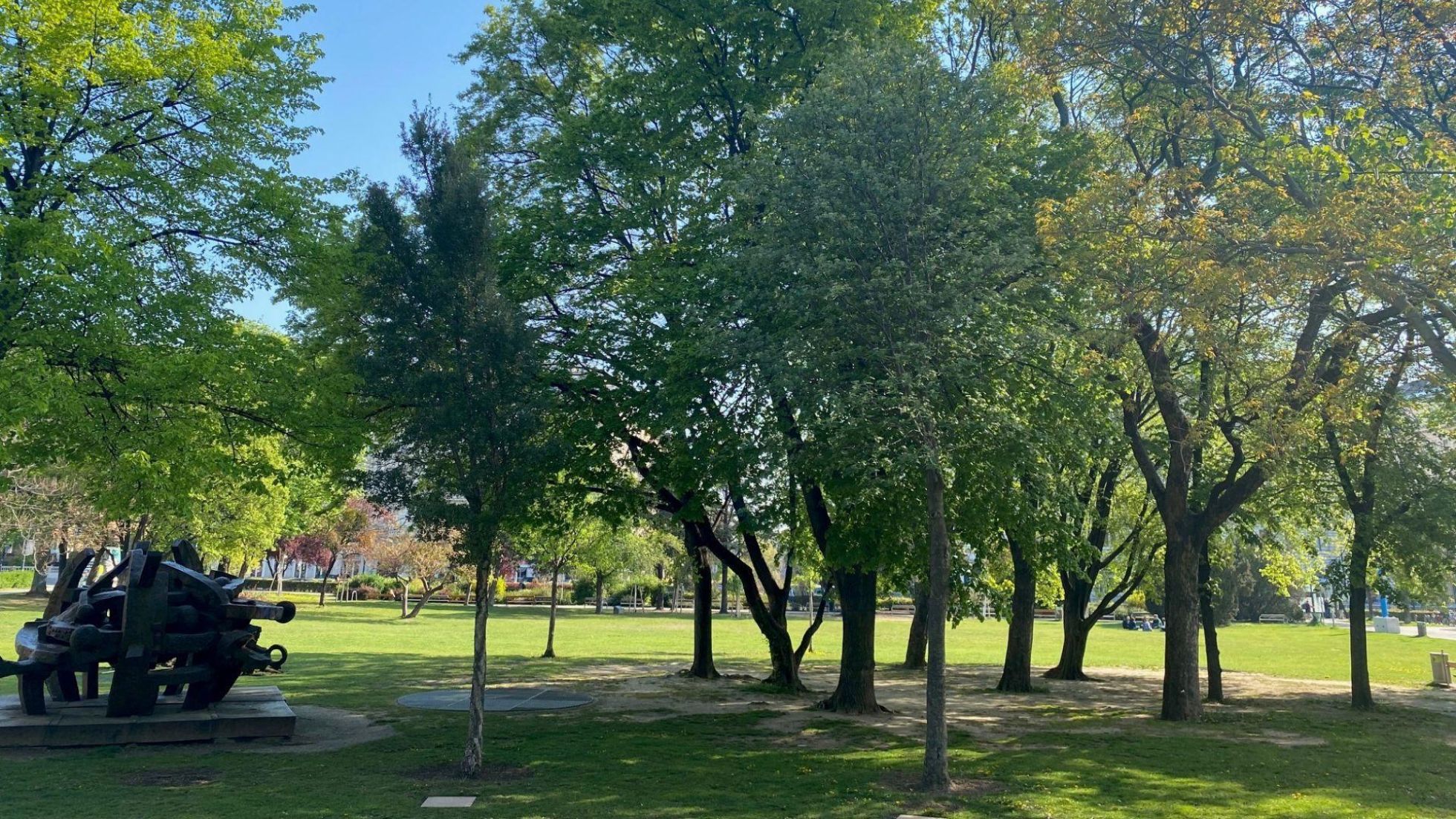 Bäume und Denkmal in einem Park