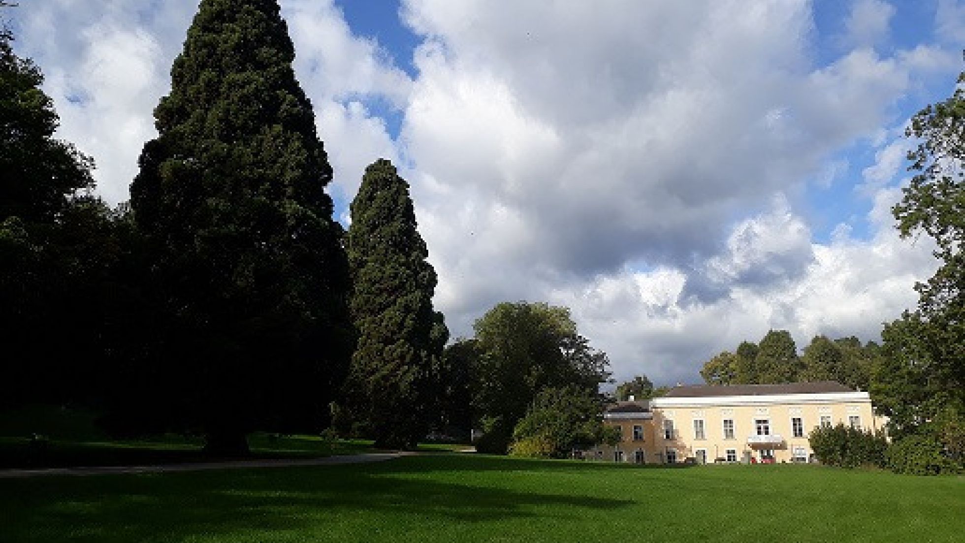 copyright: Wiener Stadtgärten Wiese mit Gebäude, hohe Bäume, Wolken am Himmel