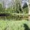 Teich in einem Park