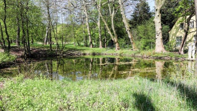 copyright: Wiener Stadtgärten/Fürthner Teich in einem Park