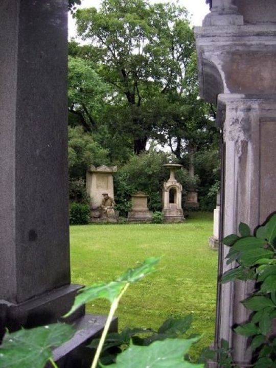 copyright: MA 42 Blick durch Säulen auf Gräberhain