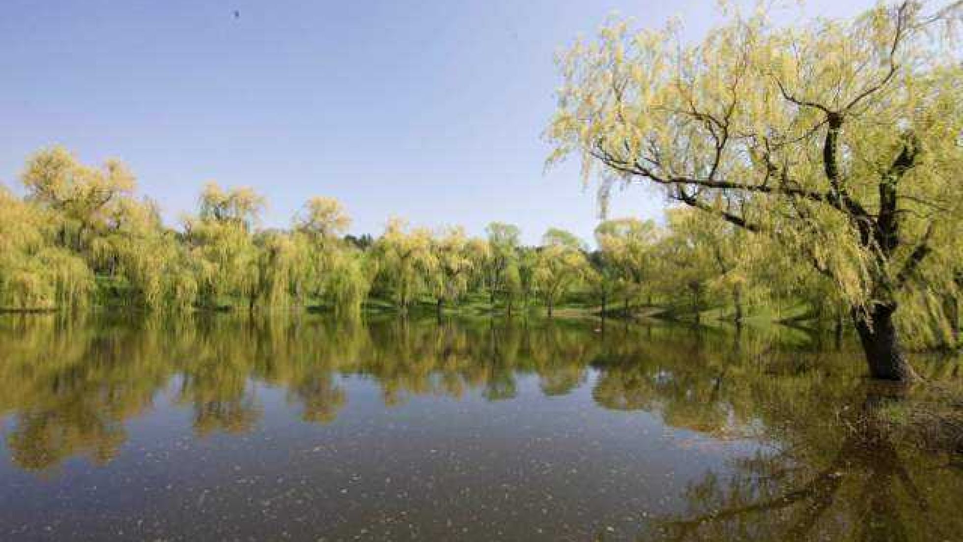 copyright: MA 42 Blick über Wasser