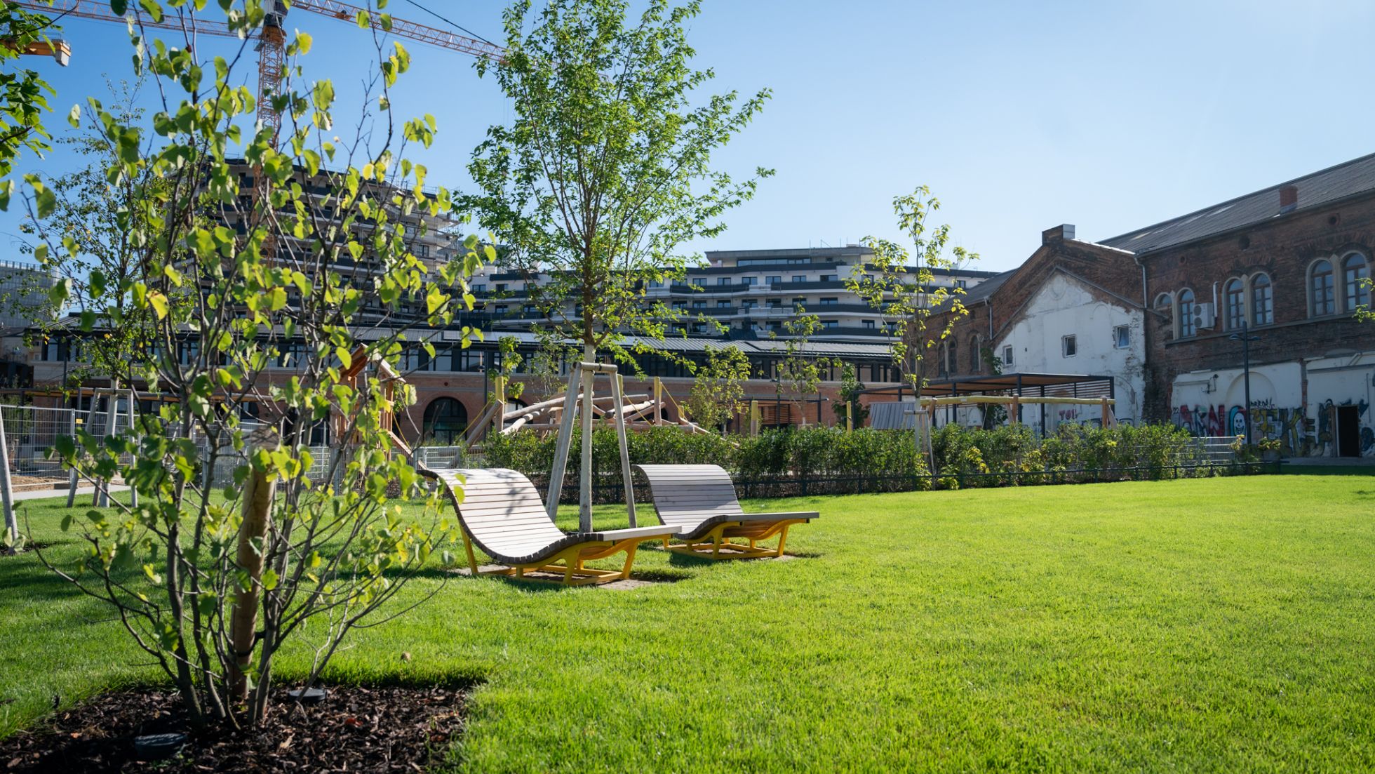 Holzliegen auf einer Wiese, dahinter Gebäude