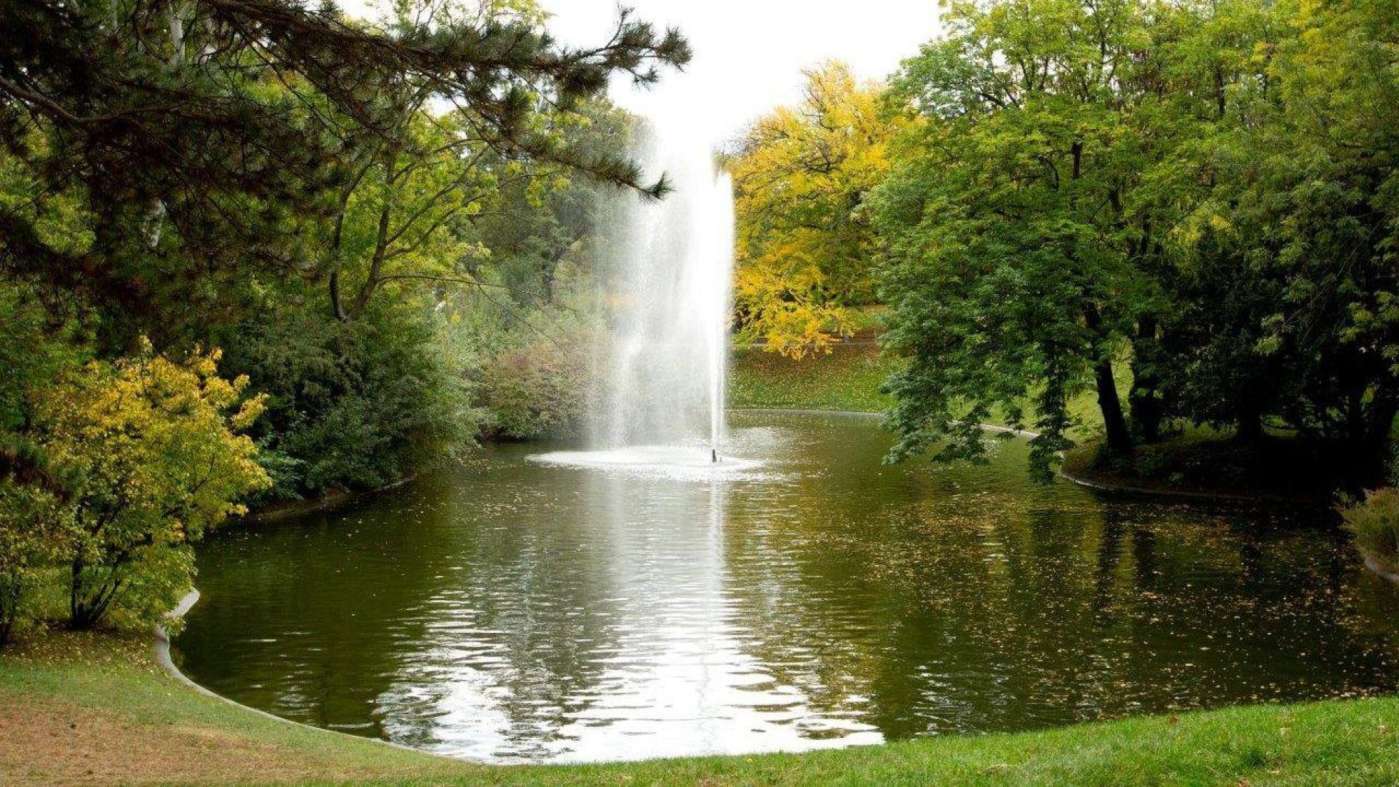Wasserfontäne in einem Teich
