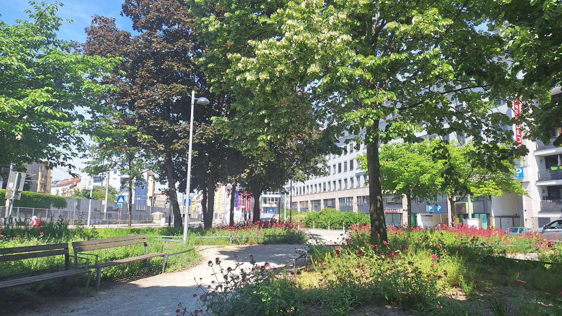 Park mit Sitzbänken, Wegen und großen Bäumen, im Hintergrund Straßen und Häuser.