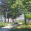 copyright: Wiener Stadtgärten Park mit Sitzbänken, Wegen und großen Bäumen, im Hintergrund Straßen und Häuser.