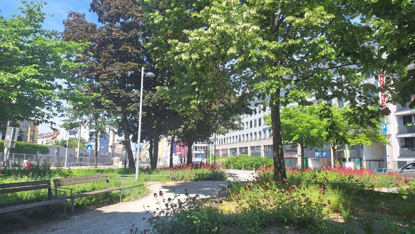 Park mit Sitzbänken, Wegen und großen Bäumen, im Hintergrund Straßen und Häuser.