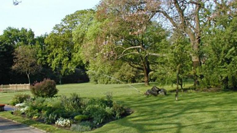 copyright: MA 42 Beet in Wiese von Bäumen gesäumt