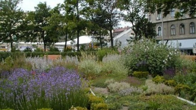 Blühende Staudenbeete