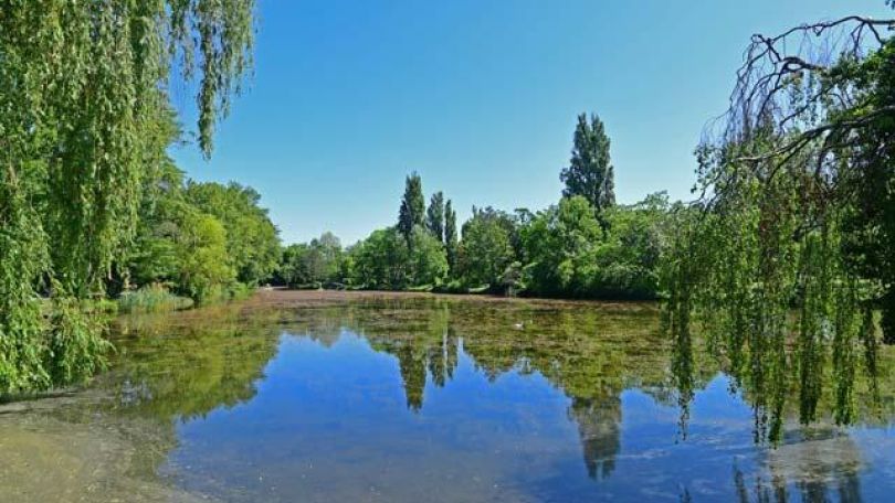 copyright: Wiener Stadtgärten/Jobst Teich in einem Park