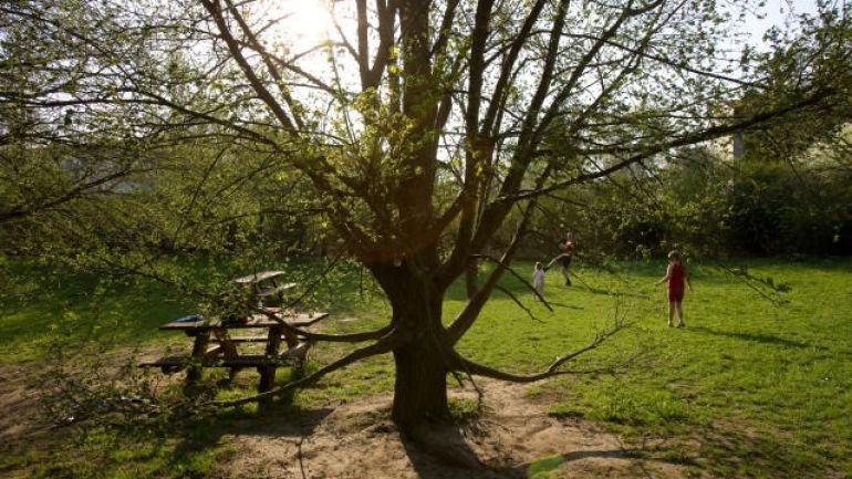 Eine Grasfläche mit Bank und Menschen