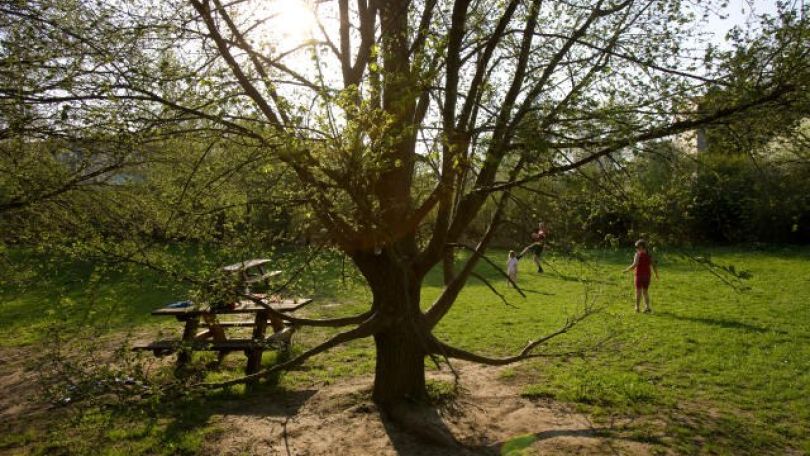 copyright: Lois Lammerhuber Eine Grasfläche mit Bank und Menschen