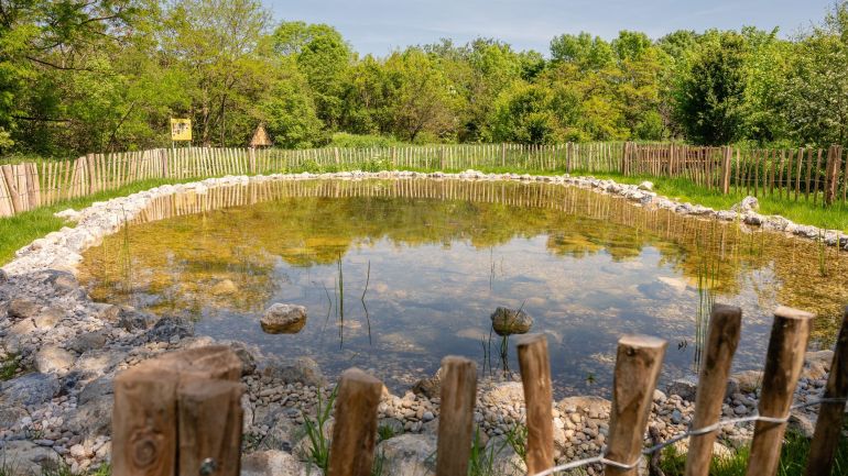 copyright: Blühendes Österreich Teich im Donaupark mit Holzzaun