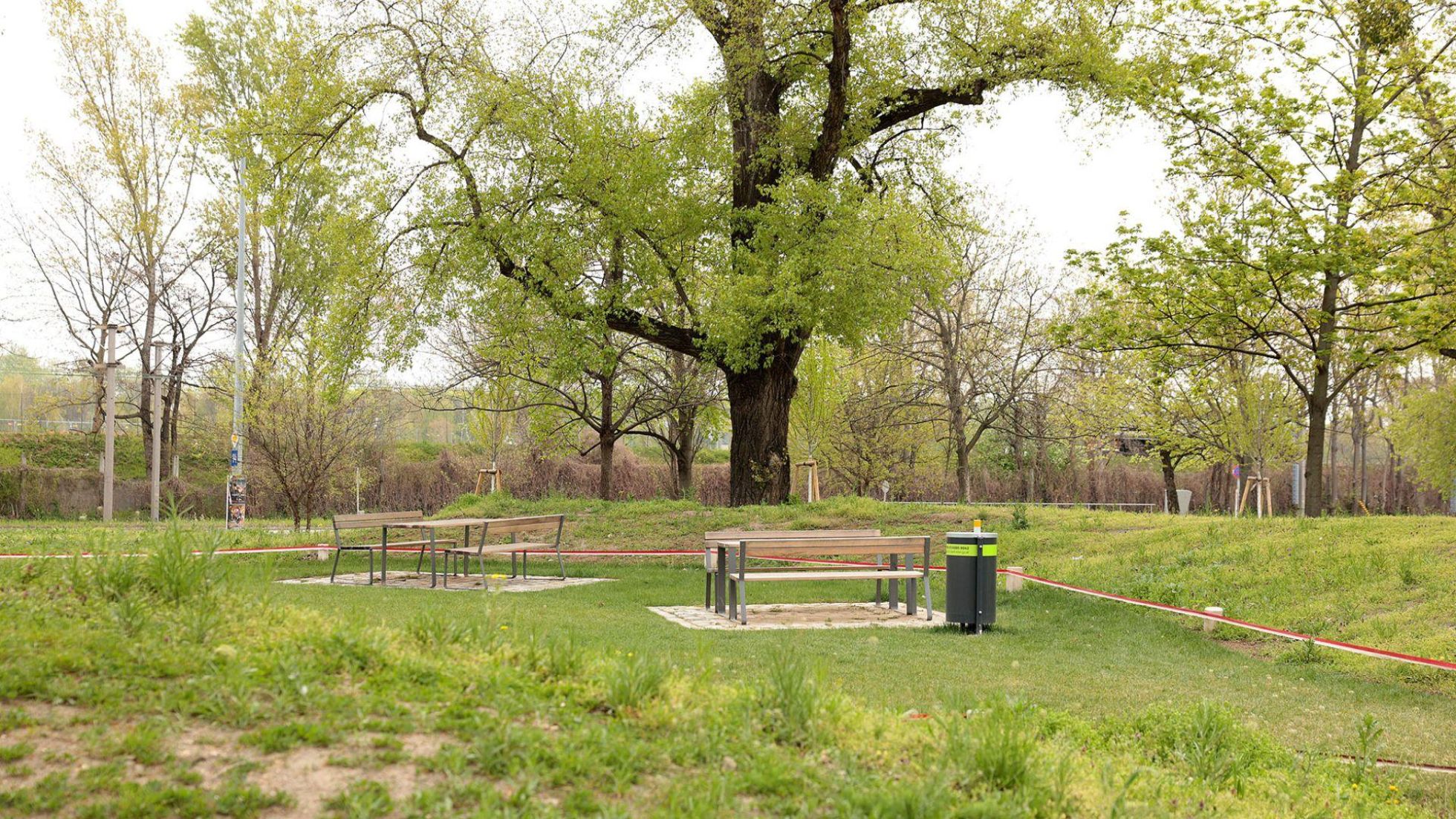 copyright: Stadt Wien/Martin Votava Sitzgelegenheiten auf einer Wiese, rund herum hohe Bäume.