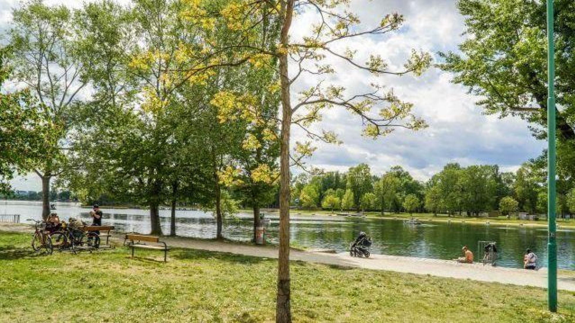 copyright: MA45/Christian Fürthner Liegewiese mit hohen Bäumen und einem Badesteg ins Wasser