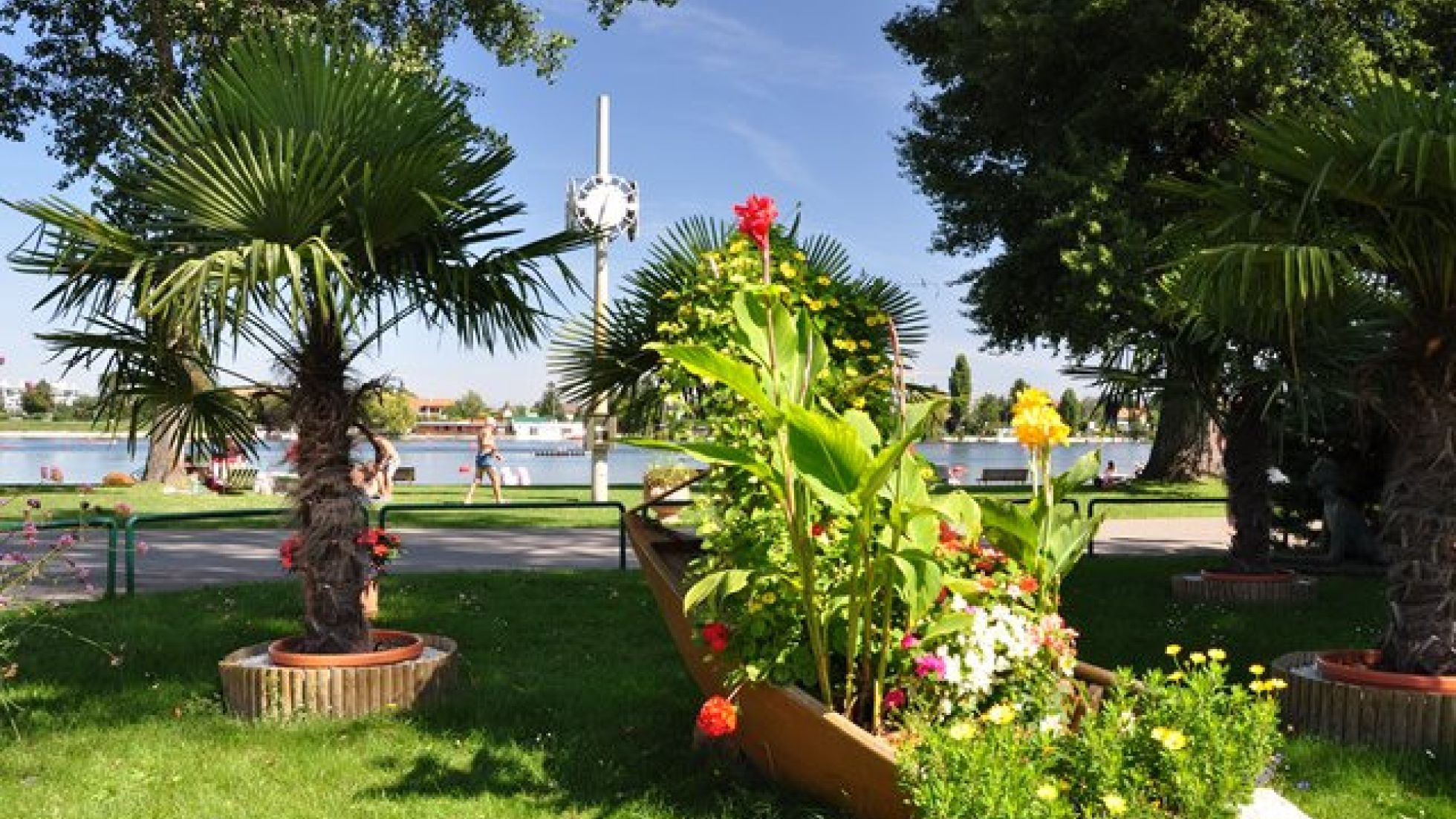 Pflanzen im Strandbad Alte Donau