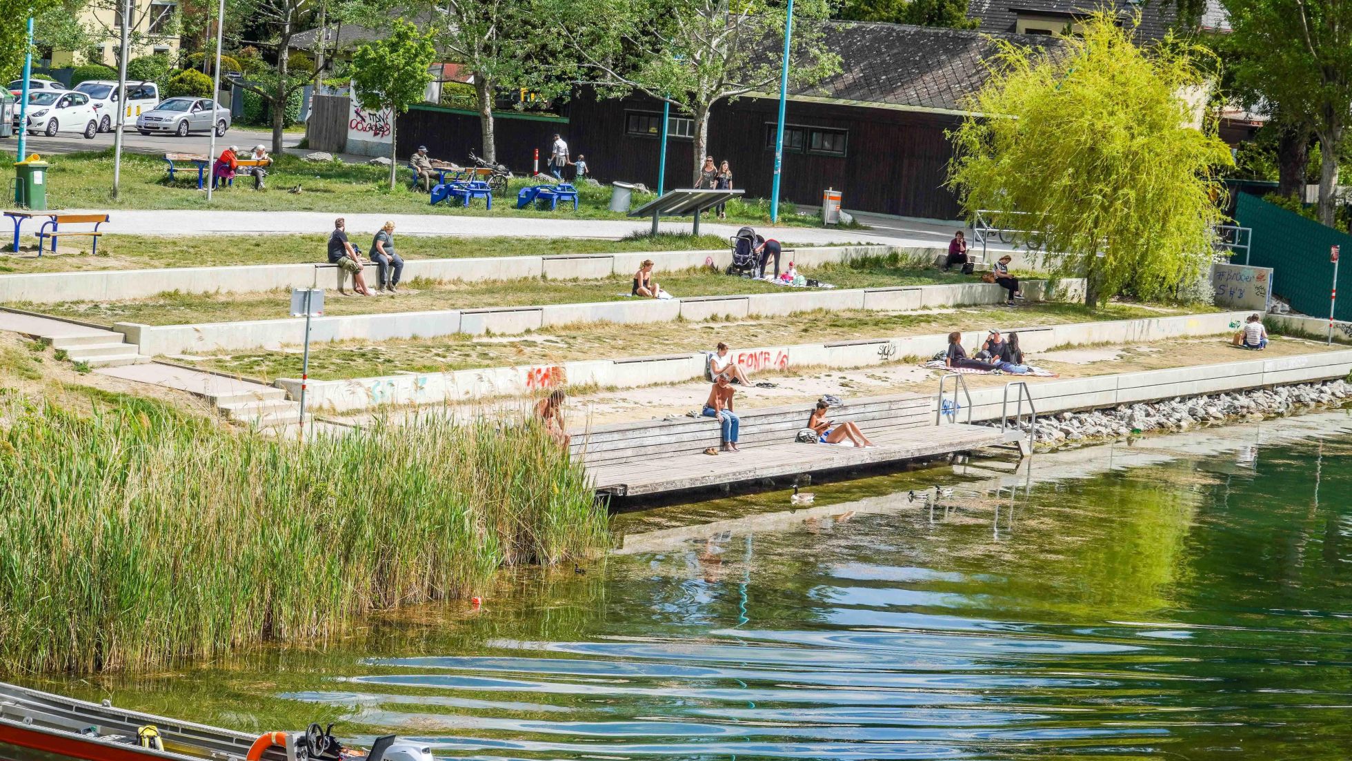 Terrassenförmig angelegtes Ufer an der neuen Donau. Ein Teil ist mit Schilf bewachsen, ein Teil frei zugänglich.