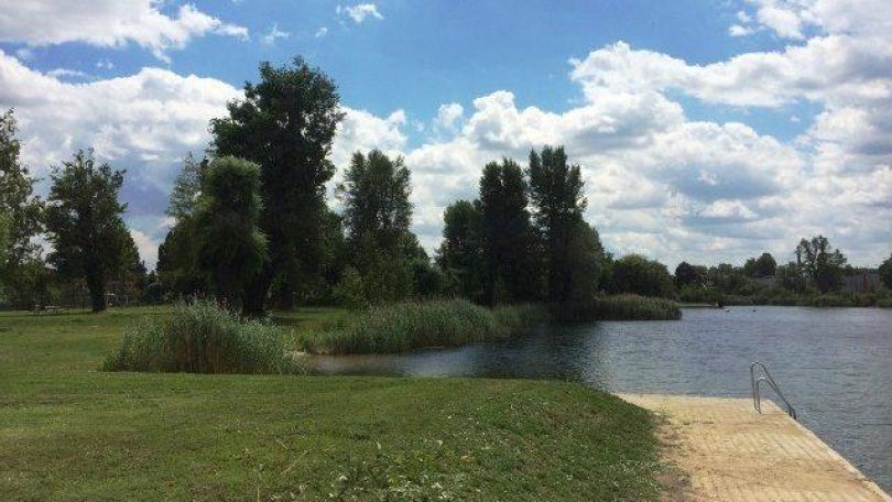 Liegewiese an der Alten Donau, am Ufer führt eine Stiege ins Wasser.