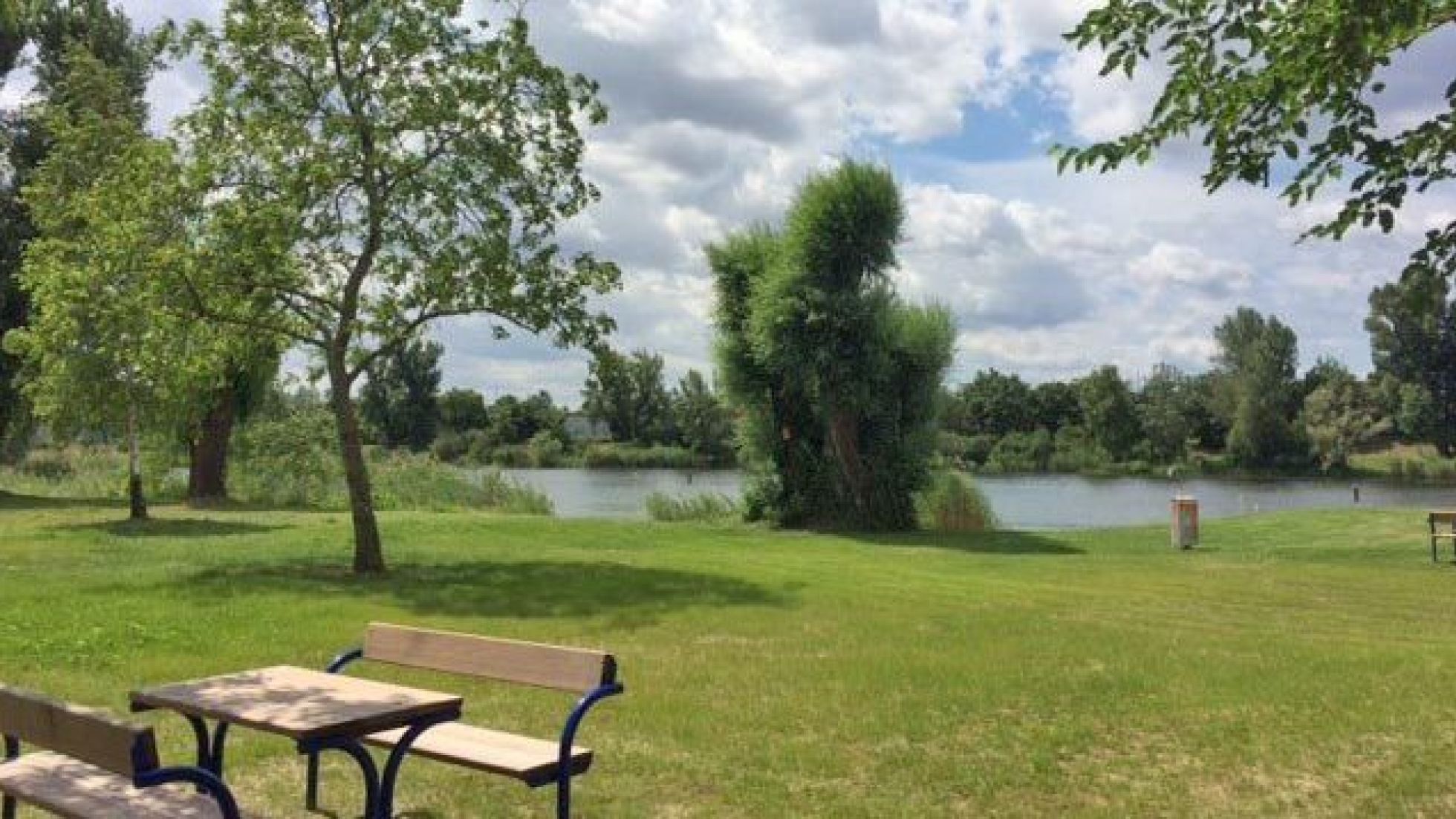 Liegewiese an der Alten Donau mit Bäumen und einem Holztisch mit Bänken.