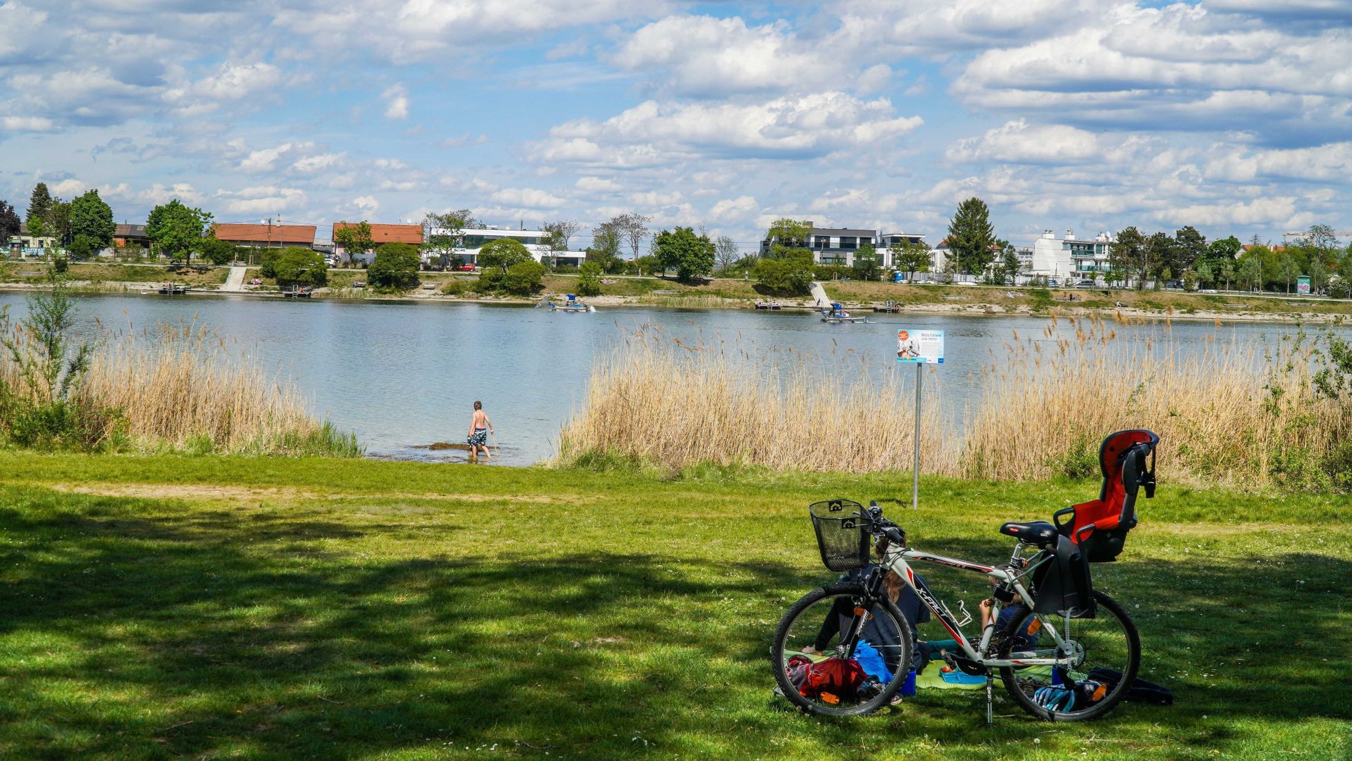 Wiese am Ufer der Alten Donau. Am Ufer wächst Schilf, zwischen dem Schilf ist ein freier Zugang zum Wasser. Auf der Wiese steht ein Fahrrad.