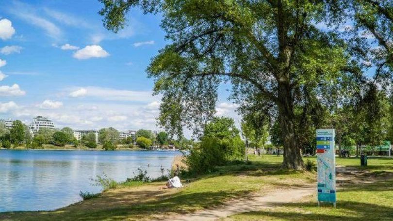 Ufer der Alten Donau, auf der Wiese steht ein großer Baum, neben einem Trampelpfad ist ein Hinweisschild der Stadt Wien.