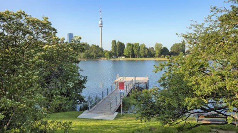 Ein Badesteg führt von einer Wiese ins Wasser. Im Hintergrund ist der Donauturm zu sehen.