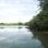 Ruhiger See, am Ufer wächst Gebüsch.