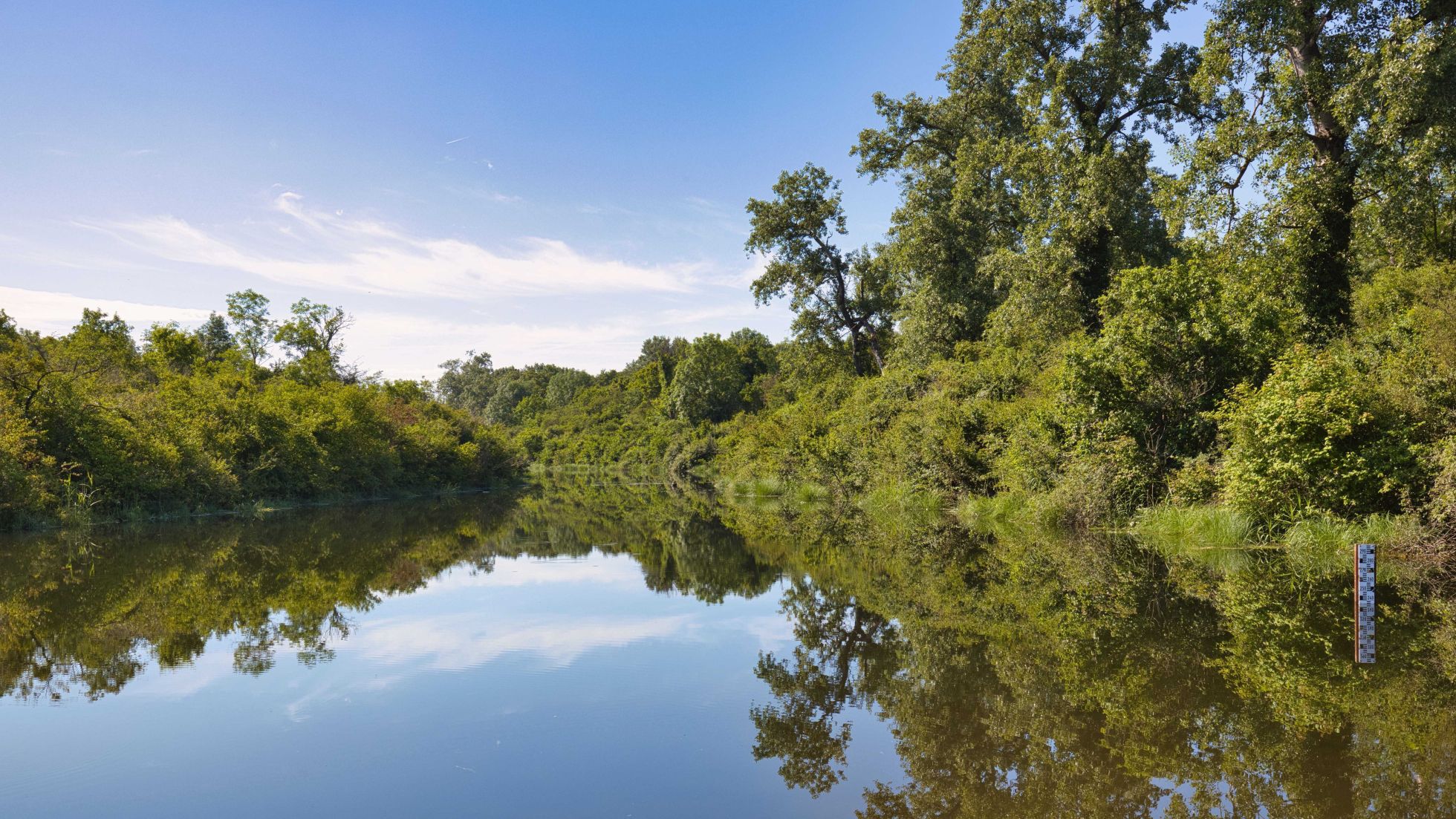 Ruhiges Gewässer mit Wald und Gebüsch am Ufer.
