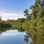 Ruhiges Gewässer mit Wald und Gebüsch am Ufer.