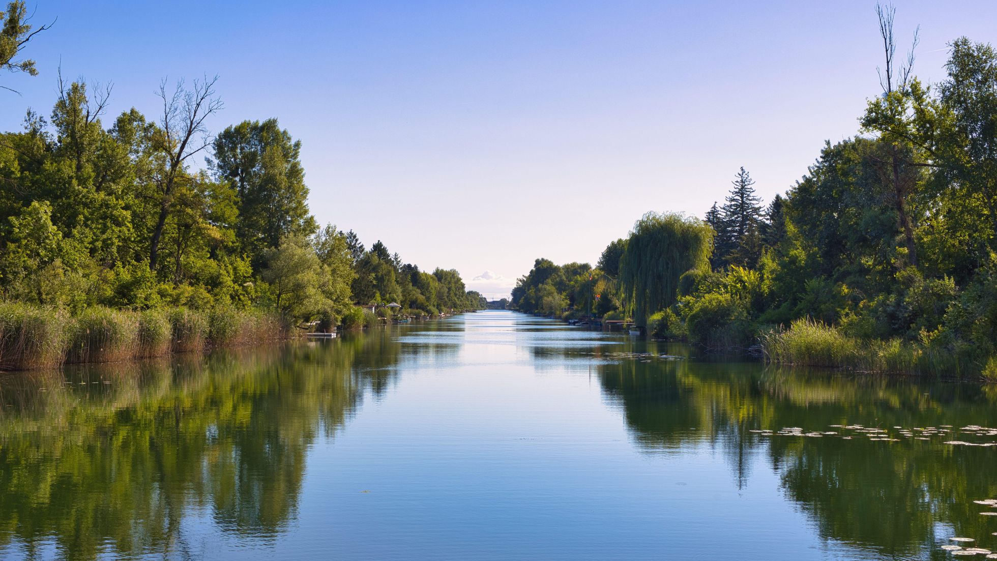 copyright: Stadt Wien - Franz Kalab Im ruhigen Gewässer spiegeln sich der Himmel und die Bäume, die links und rechts am Ufer stehen.
