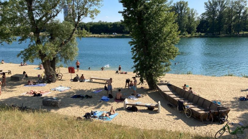 Sandstrand am Ufer der Neuen Donau mit großen Bäumen.
