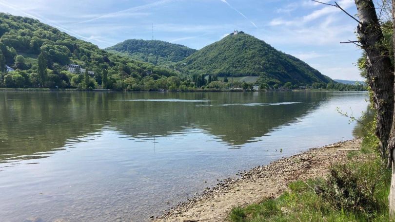 copyright: Wiener Gewässer (MA 45) Ufer der Donau, auf der anderen Seite erheben befinden sich der Kahlenberg und der Leopoldsberg.