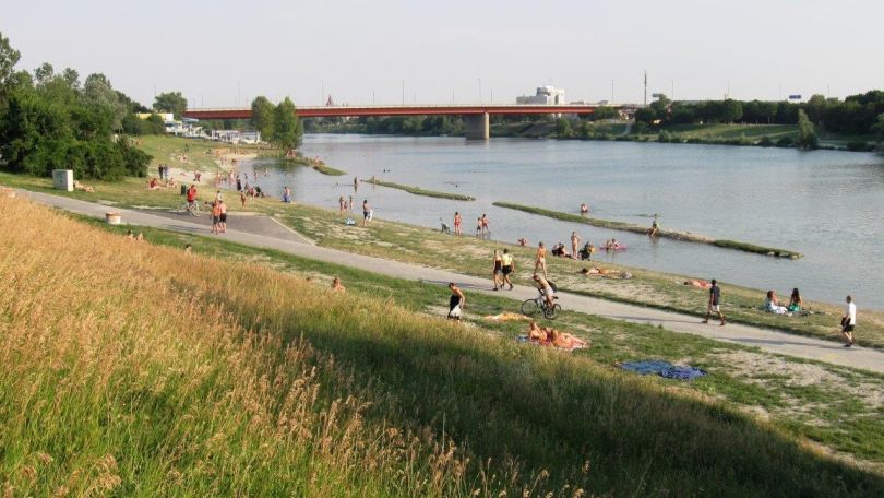 Liegewiese mit Weg am Ufer der Neuen Donau. Im Hintergrund erstreckt sich eine Brücke über die Neue Donau.