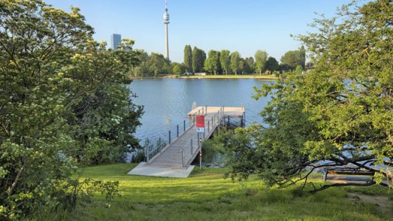 Badesteg, davor Wiese und Bäume, im Hintergrund der Donauturm
