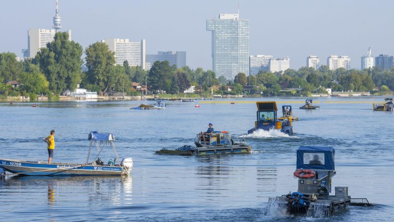 copyright: Wiener Wildnis Mehrere Mähboote bei Einsatz auf der Alten Donau