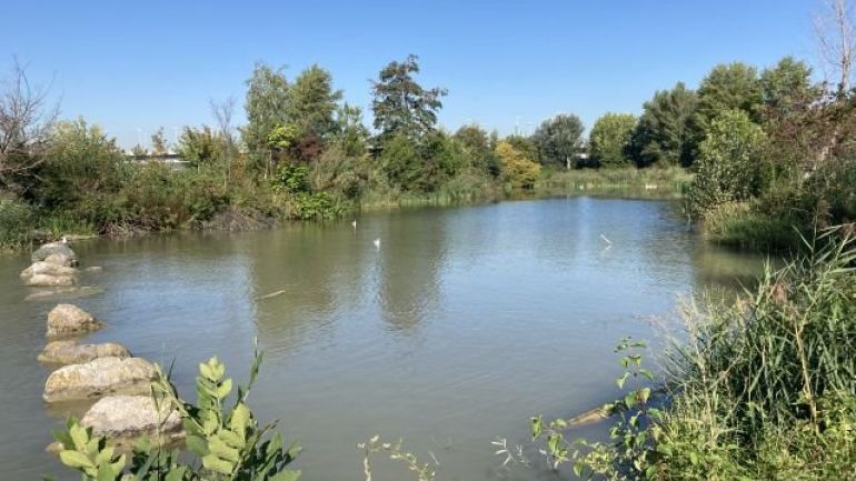 Bucht bei der Reichsbrücke