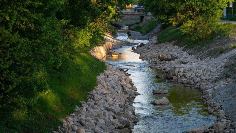 Renaturiertes Bachbett des Liesingbaches. An beiden Ufern mit hellen Steinschüttungen, die in frühsommerlich grüne Böschungen übergehen