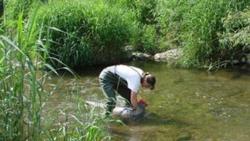 copyright: MA 45 Entnahme einer Wasserprobe am Wienfluss